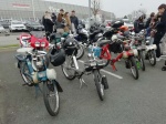 IMG_20220306_113142.jpg